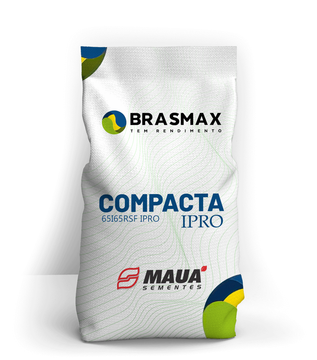 BRASMAX NÉXUS – Sementes Fabris